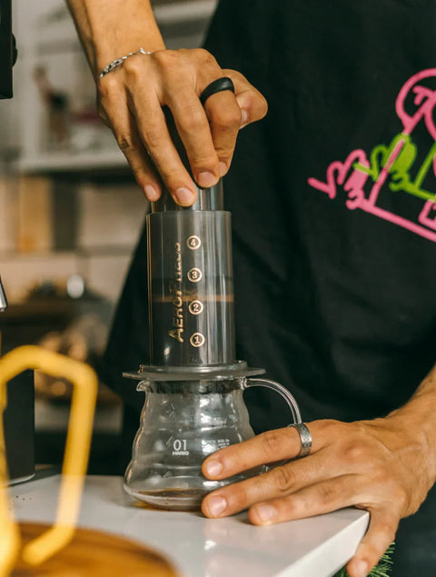 Aeropress Brew Guide